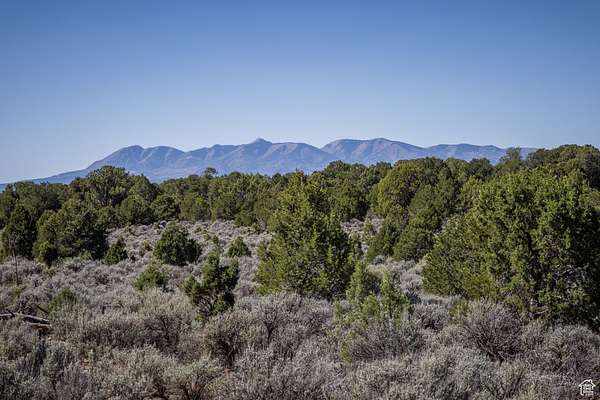 80 Acres of Agricultural Land for Sale in Monticello, Utah
