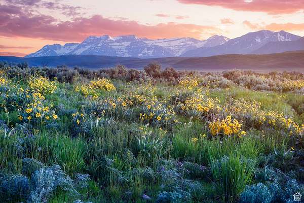 9.1 Acres of Land for Sale in Marion, Utah