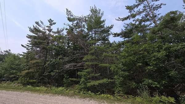 0.41 Acres of Land for Sale in Cheboygan, Michigan