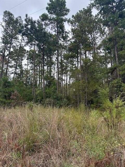 Residential Land for Sale in Georgetown, Georgia