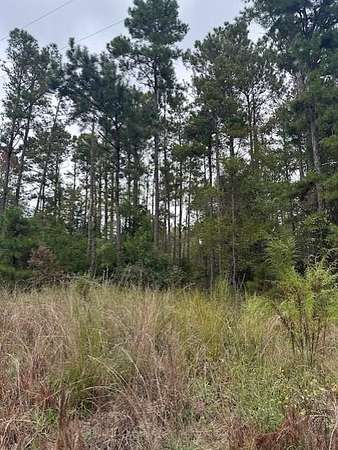 Residential Land for Sale in Georgetown, Georgia