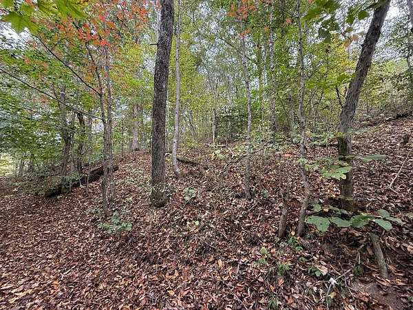 0.37 Acres of Residential Land for Sale in Richlands, Virginia