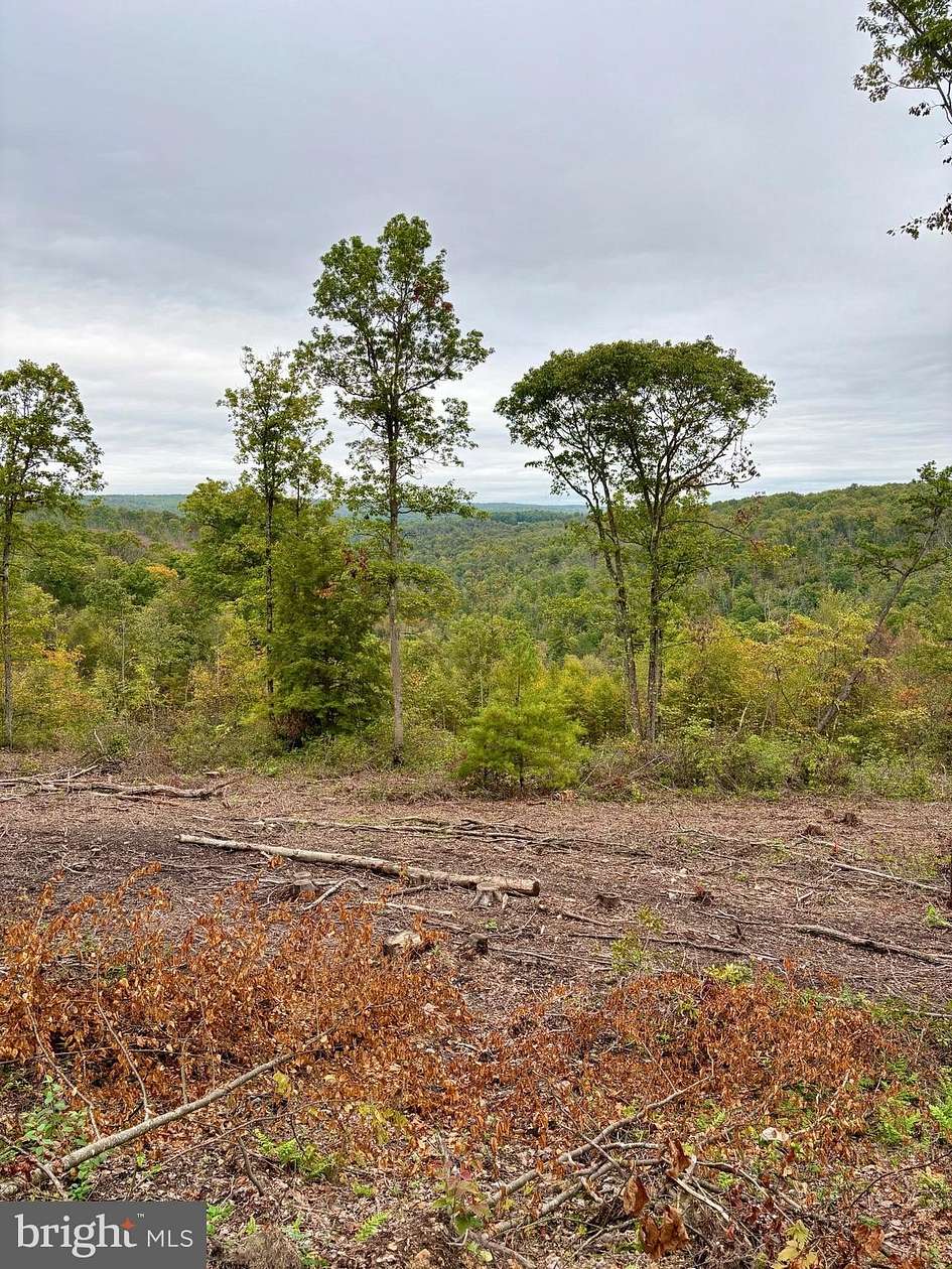 165 Acres of Recreational Land for Sale in Beech Creek, Pennsylvania