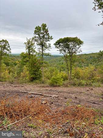165 Acres of Recreational Land for Sale in Beech Creek, Pennsylvania
