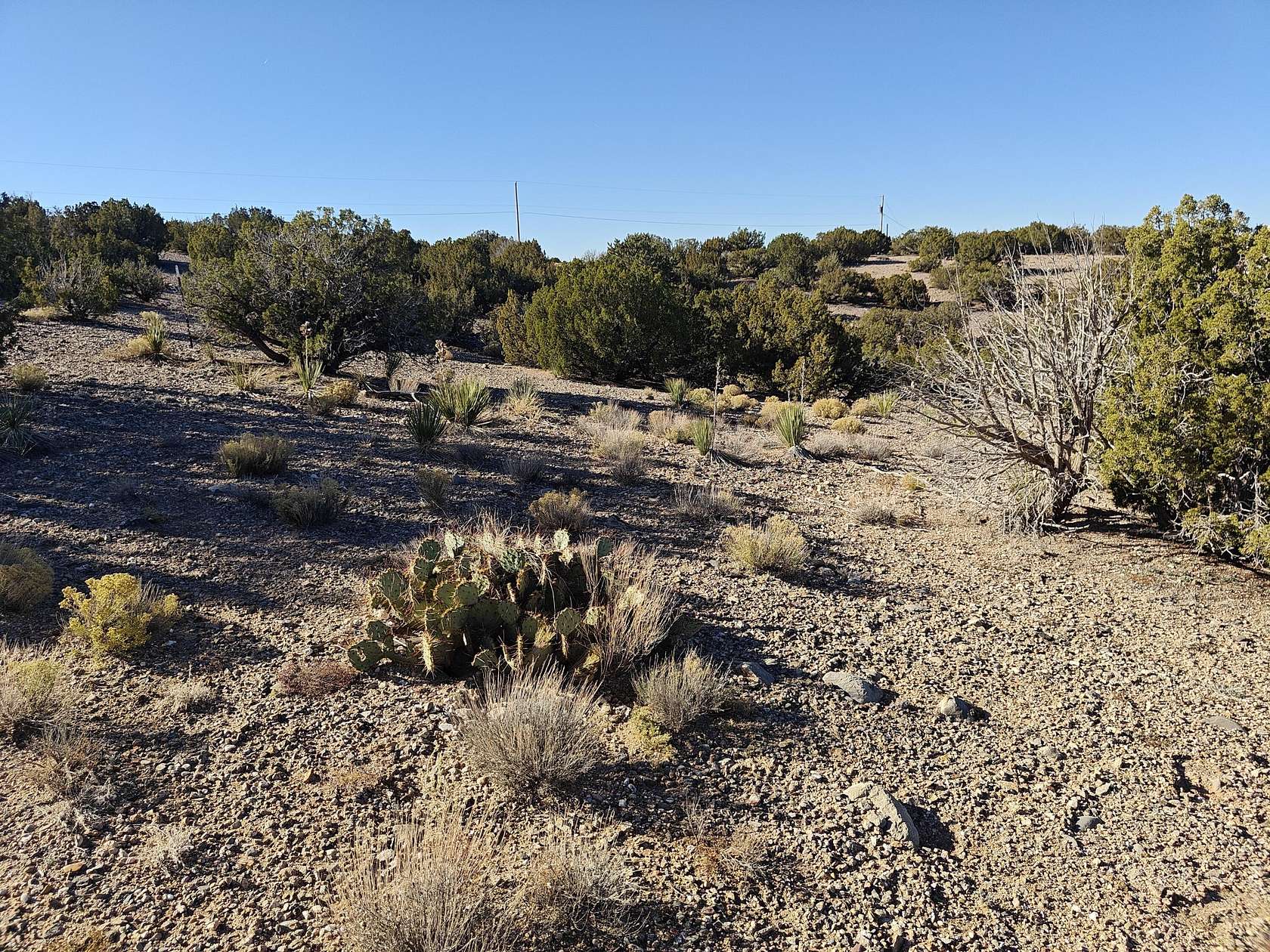 1 Acre of Residential Land for Sale in Placitas, New Mexico