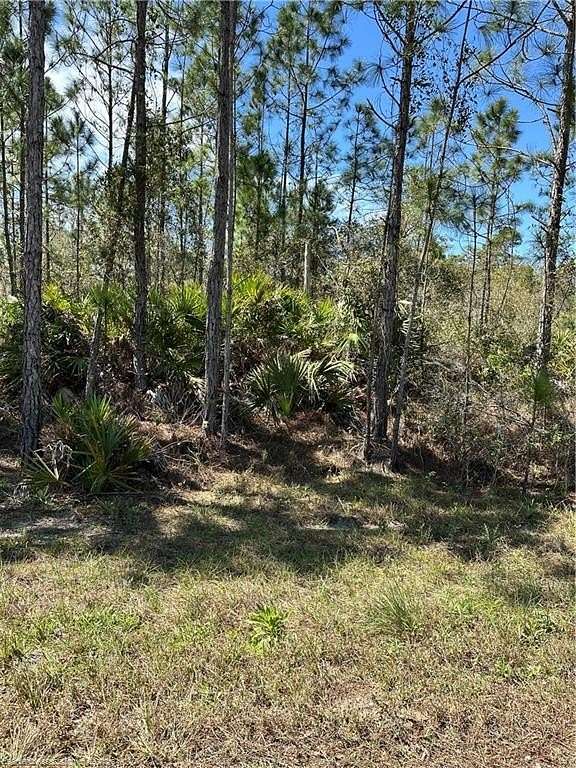 0.26 Acres of Residential Land for Sale in Lake Placid, Florida