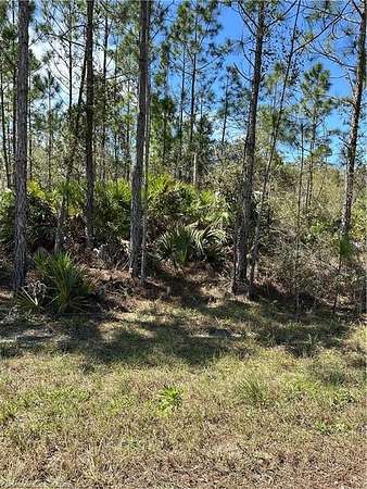 0.26 Acres of Residential Land for Sale in Lake Placid, Florida