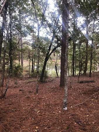 Residential Land for Sale in Moselle, Mississippi