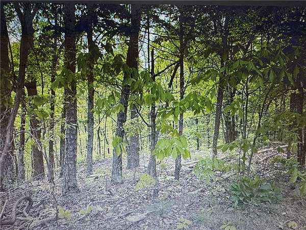 1.1 Acres of Residential Land for Sale in Ranger, Georgia