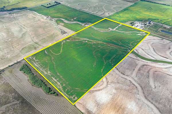 78.2 Acres of Agricultural Land for Auction in Milan, Kansas