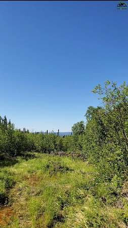 5 Acres of Land for Sale in Fairbanks, Alaska