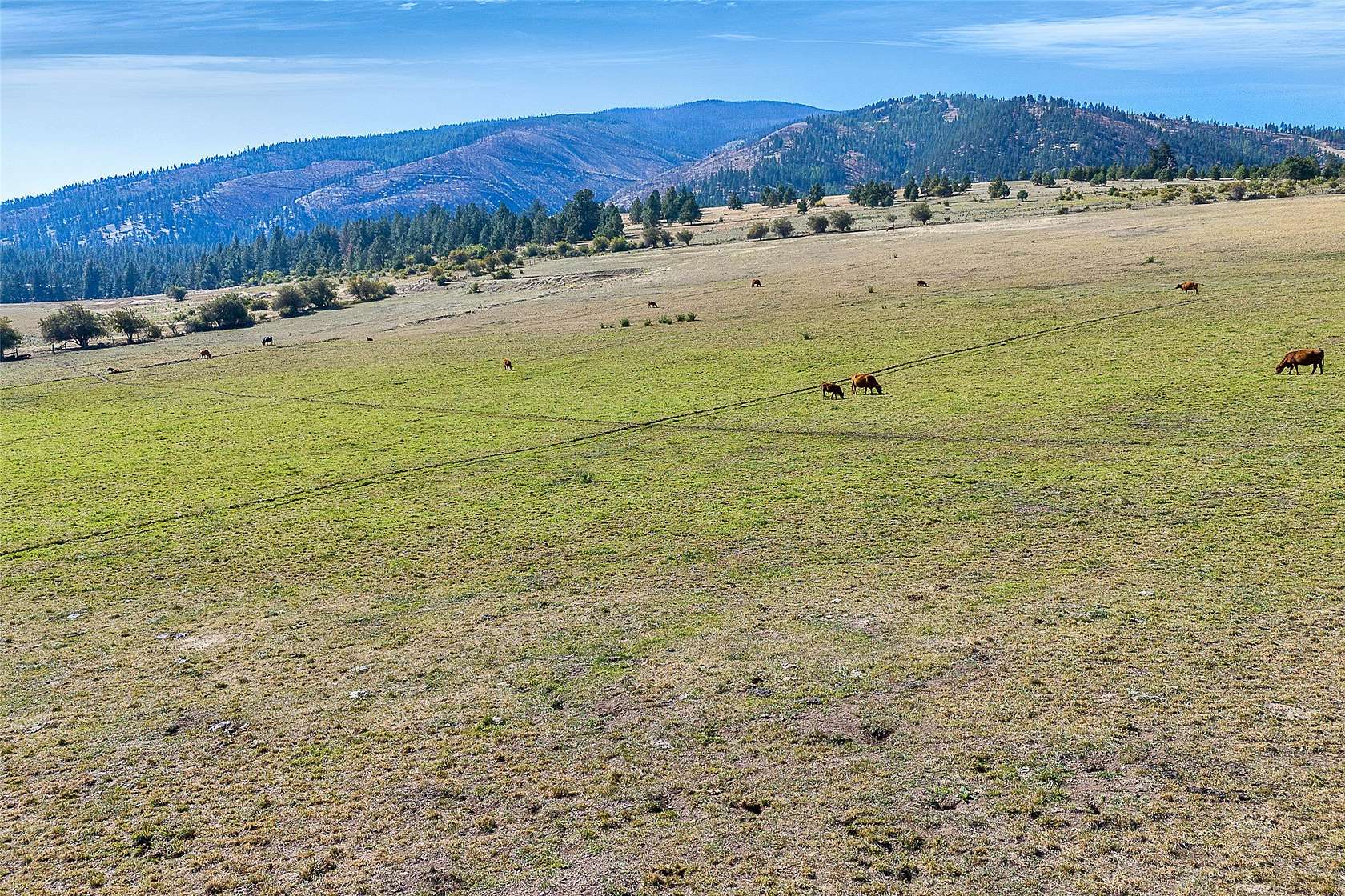 136 Acres of Recreational Land & Farm for Sale in Florence, Montana