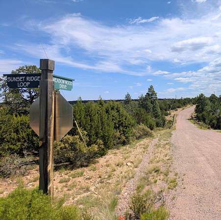 5 Acres of Residential Land for Sale in Happy Jack, Arizona
