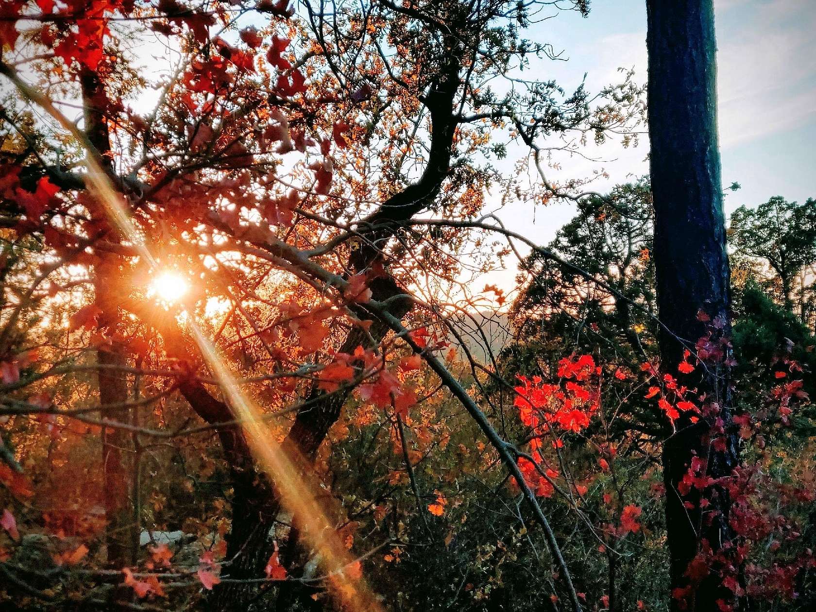 3 Acres of Residential Land for Sale in Strawberry, Arizona