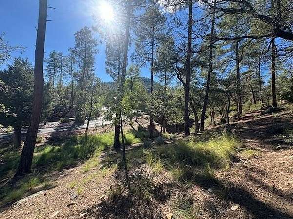 0.32 Acres of Residential Land for Sale in Pine, Arizona
