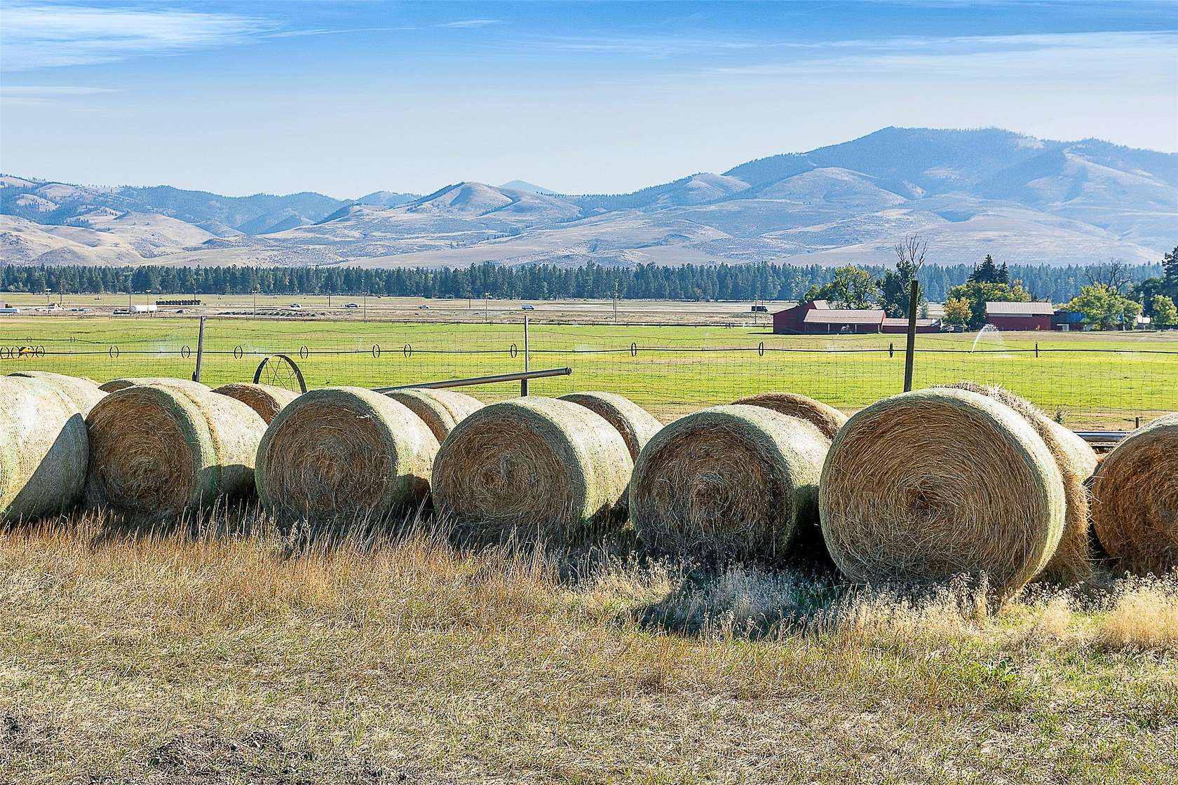 197 Acres of Land for Sale in Florence, Montana
