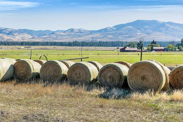 197 Acres of Land for Sale in Florence, Montana