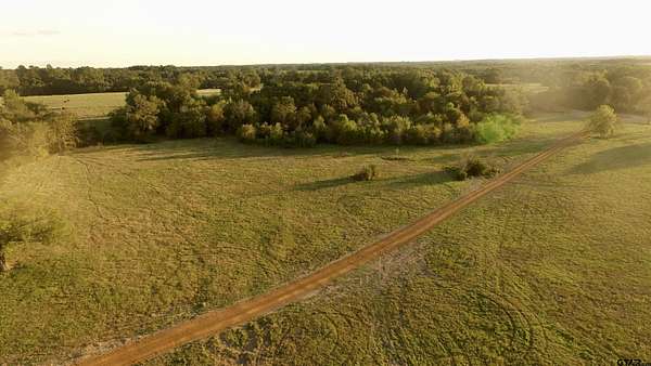 17.7 Acres of Land for Sale in Mount Pleasant, Texas