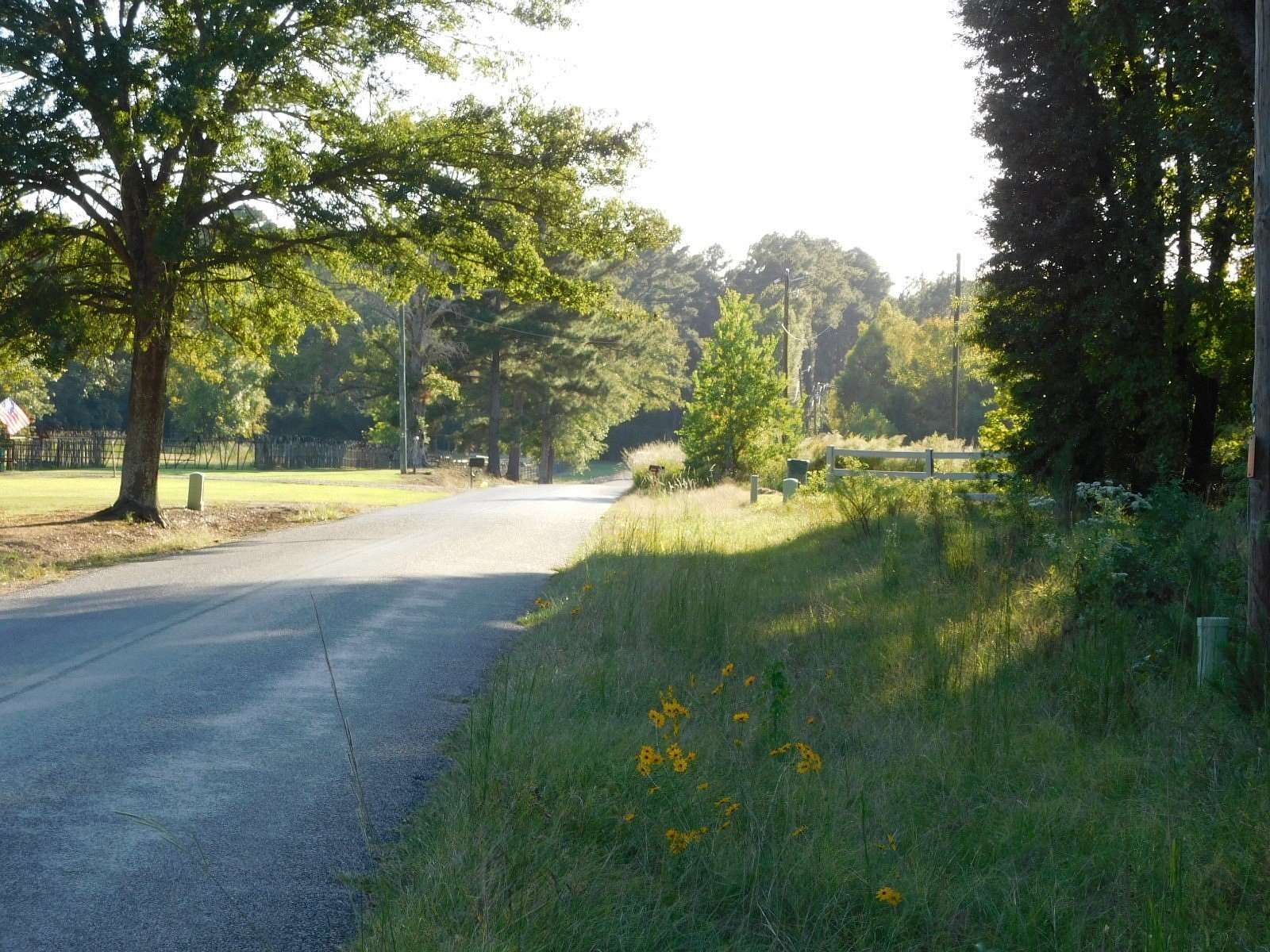 11.7 Acres of Land for Sale in Taylor, Arkansas