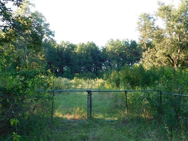 11.7 Acres of Land for Sale in Taylor, Arkansas