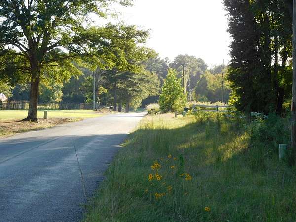11.7 Acres of Land for Sale in Taylor, Arkansas