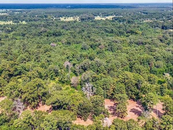 20 Acres of Agricultural Land for Sale in Hardin, Texas