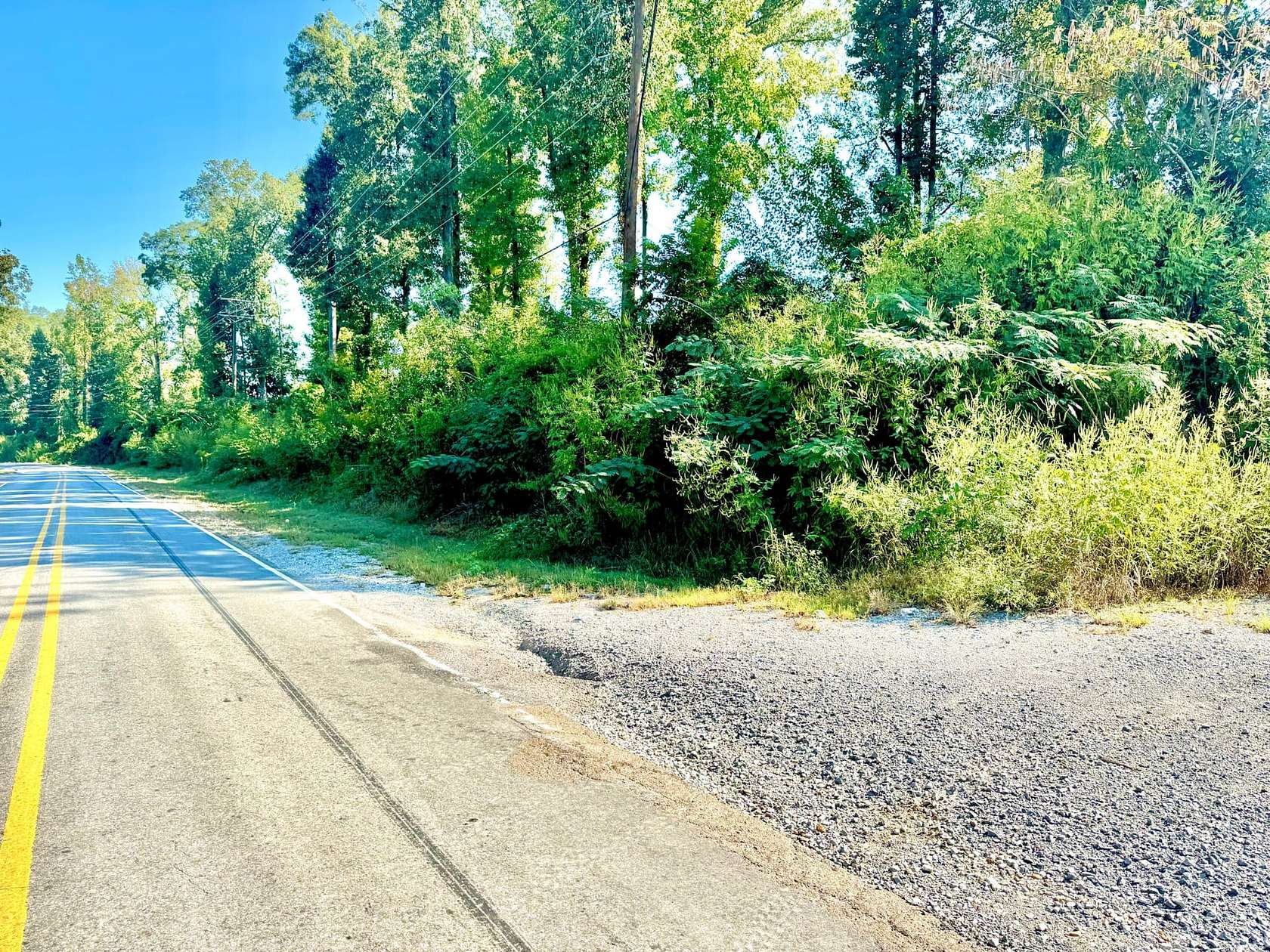 120 Acres of Recreational Land for Sale in Natchez, Mississippi