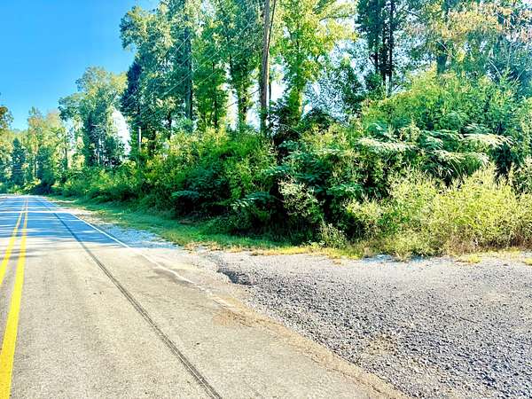 120 Acres of Recreational Land for Sale in Natchez, Mississippi