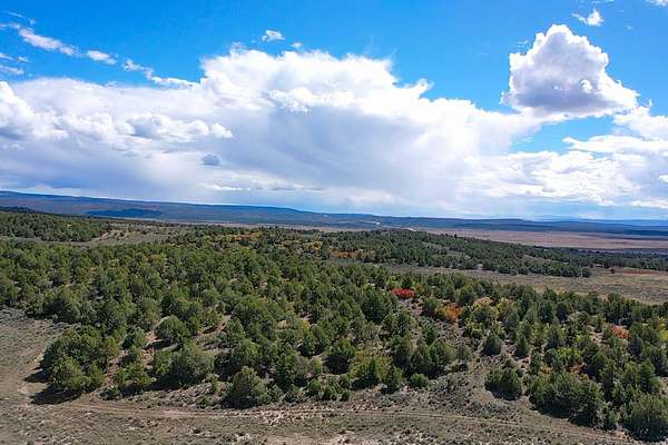 598 Acres of Recreational Land for Sale in Tierra Amarilla, New Mexico