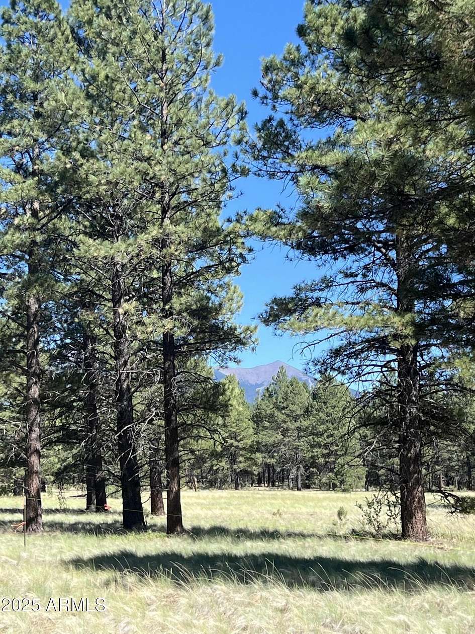 10 Acres of Recreational Land for Sale in Flagstaff, Arizona