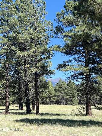 10 Acres of Recreational Land for Sale in Flagstaff, Arizona
