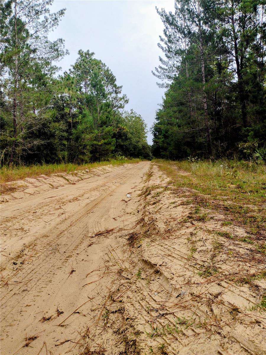 0.21 Acres of Land for Sale in Interlachen, Florida