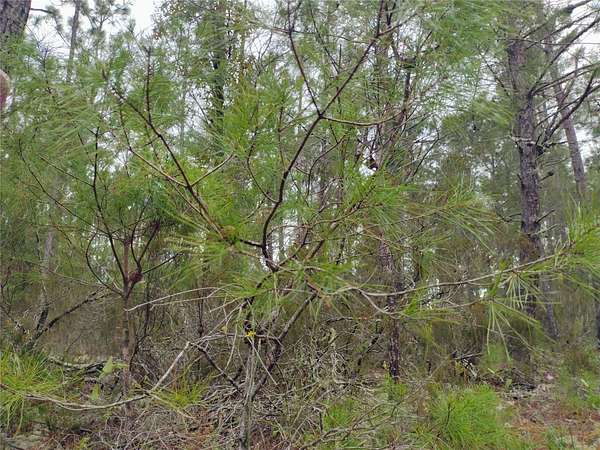 0.21 Acres of Residential Land for Sale in Interlachen, Florida