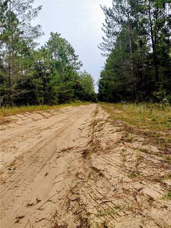 0.21 Acres of Land for Sale in Interlachen, Florida