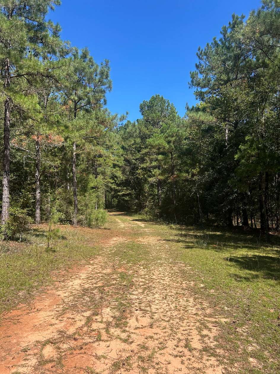 143 Acres of Recreational Land for Sale in Troy, Alabama
