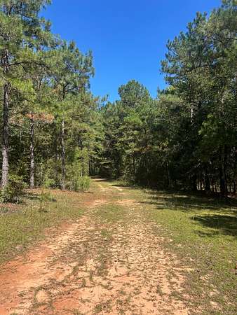 143 Acres of Recreational Land for Sale in Troy, Alabama