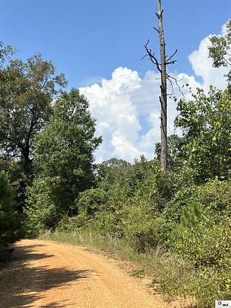 Land for Sale in Farmerville, Louisiana