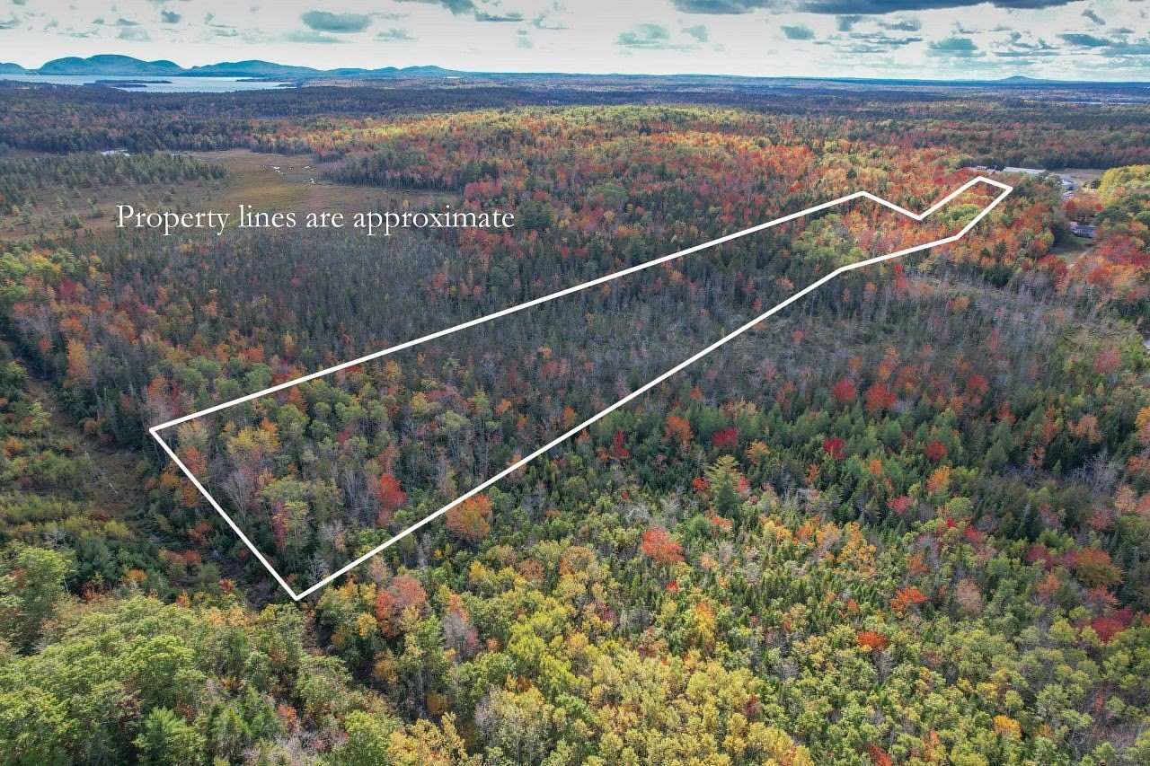 16.8 Acres of Land for Sale in Sullivan, Maine