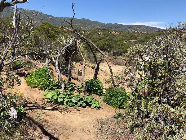 4.3 Acres of Residential Land for Sale in Anza, California
