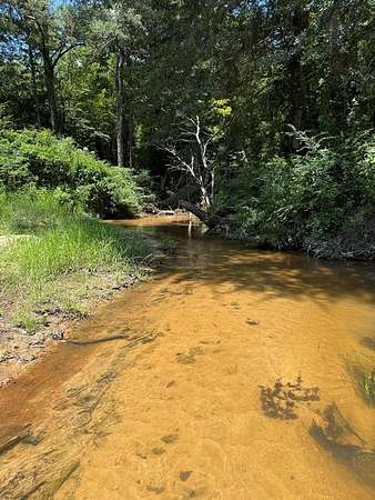 68.6 Acres of Recreational & Residential Land for Sale in Louisville, Mississippi