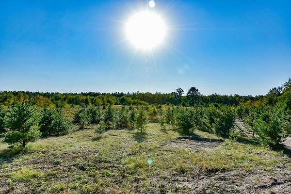 44.9 Acres of Land for Sale in Lyndon Station, Wisconsin