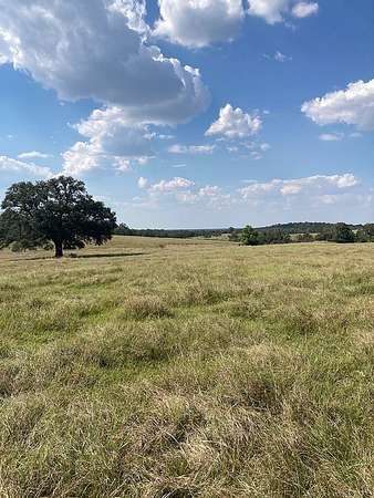 97.6 Acres of Agricultural Land for Sale in Somerville, Texas