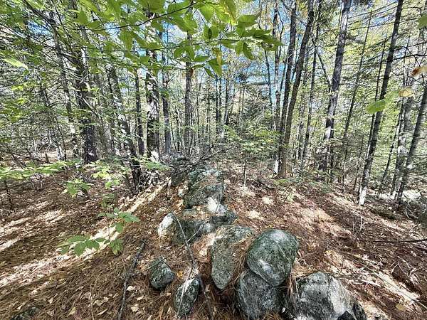 2 Acres of Residential Land for Sale in Sumner, Maine
