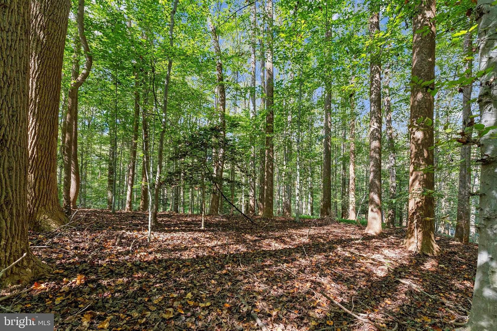 2.4 Acres of Residential Land for Sale in Great Falls, Virginia