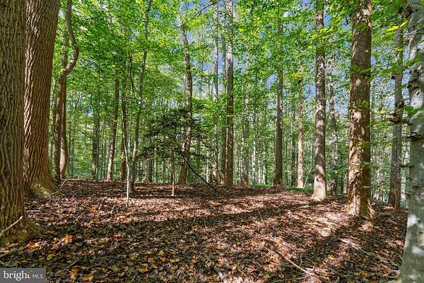 2.4 Acres of Residential Land for Sale in Great Falls, Virginia