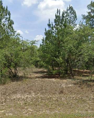 0.47 Acres of Residential Land for Sale in Dunnellon, Florida