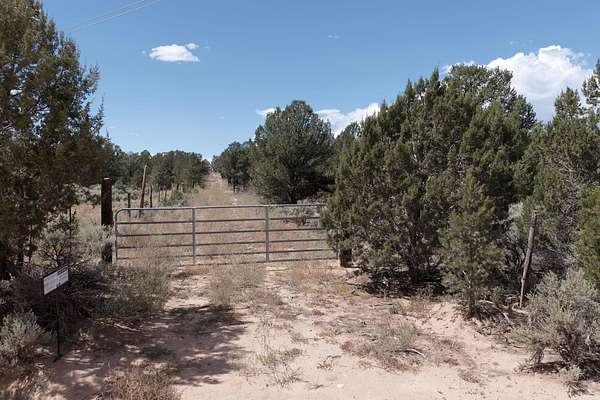 40 Acres of Recreational Land for Sale in Carson, New Mexico