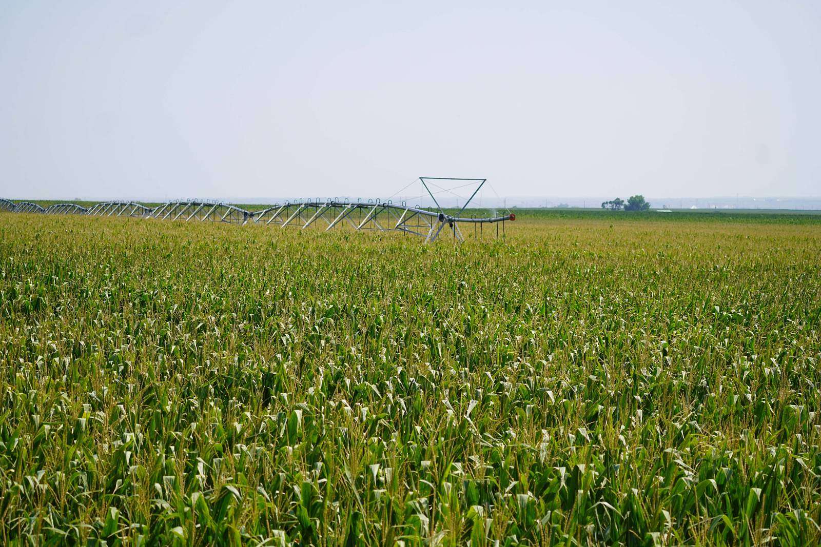 313 Acres of Agricultural Land for Sale in Bartley, Nebraska