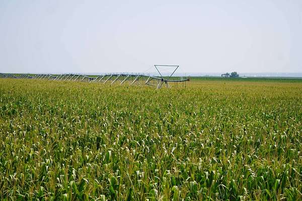 313 Acres of Agricultural Land for Sale in Bartley, Nebraska