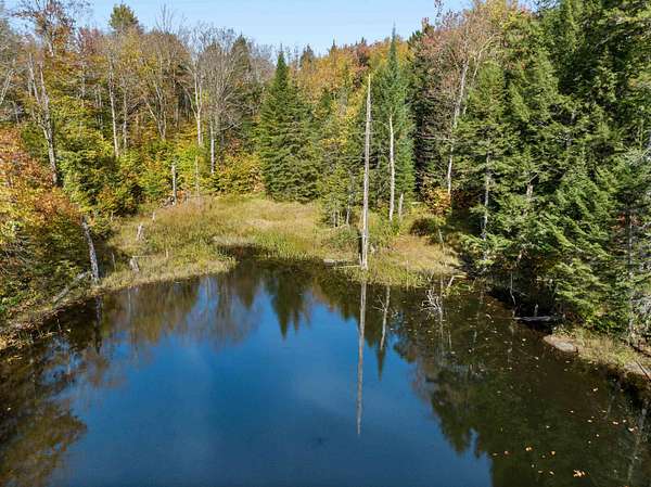 70 Acres of Recreational & Residential Land for Sale in Wolcott, Vermont